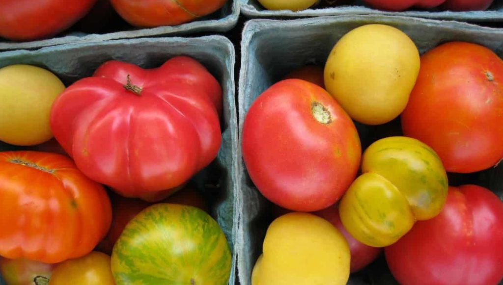 Whether you're part of a CSA, visiting farmers' markets or shopping at the regular grocery store, learn how to eat seasonally in Maryland with these tips!