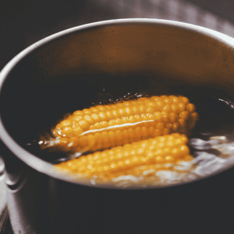 Fresh corn on the cob boiling in a pot, perfect for summer meals and gatherings.