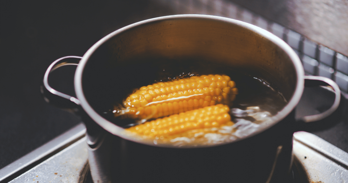Corn on the cob in a pot of water on the stove.