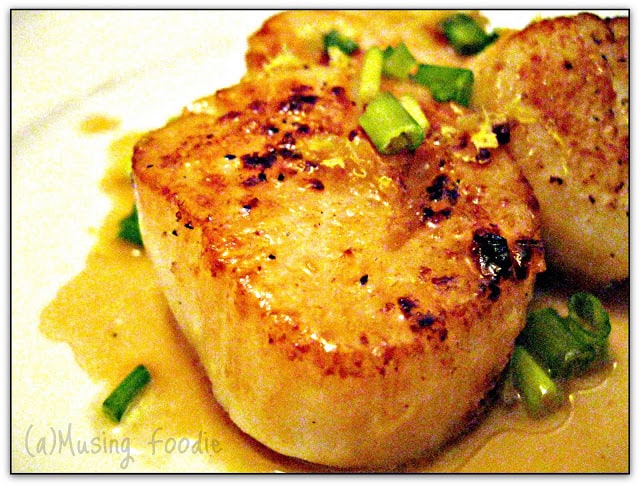 Close up of pan seared scallops on a plate.
