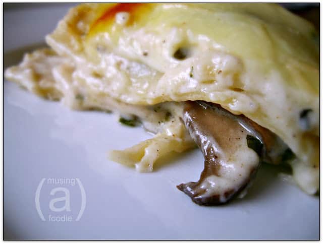 Creamy chicken and portobello mushroom white lasagna