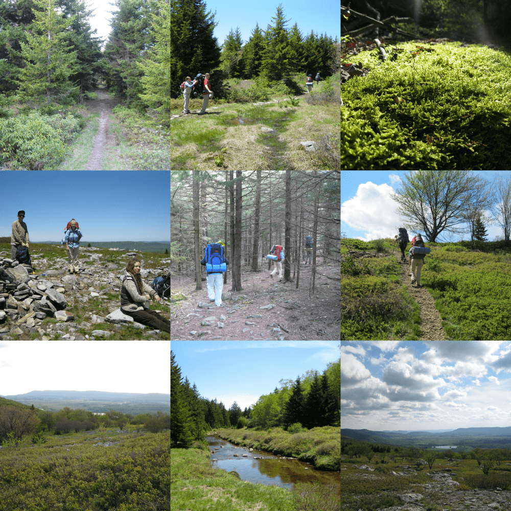 Backpacking the Dolly Sods Wilderness in the Monongahela National Forest.