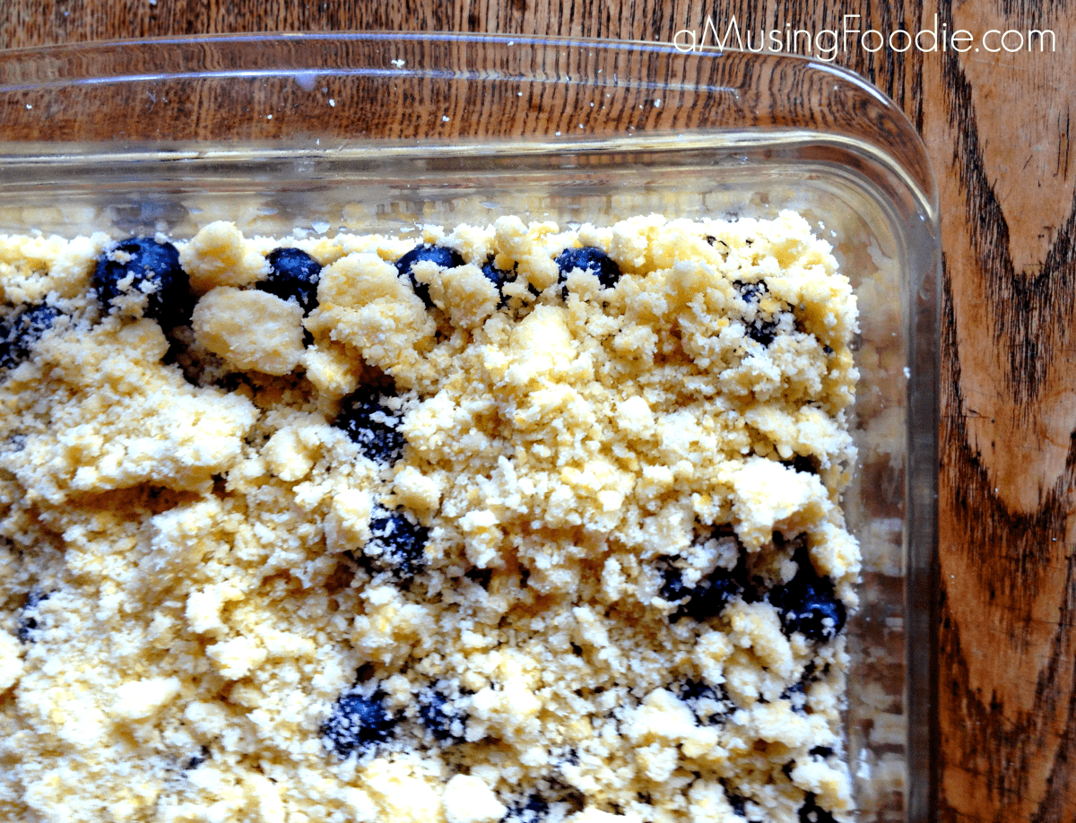 Blueberry Crumble Bars AMusing Foodie