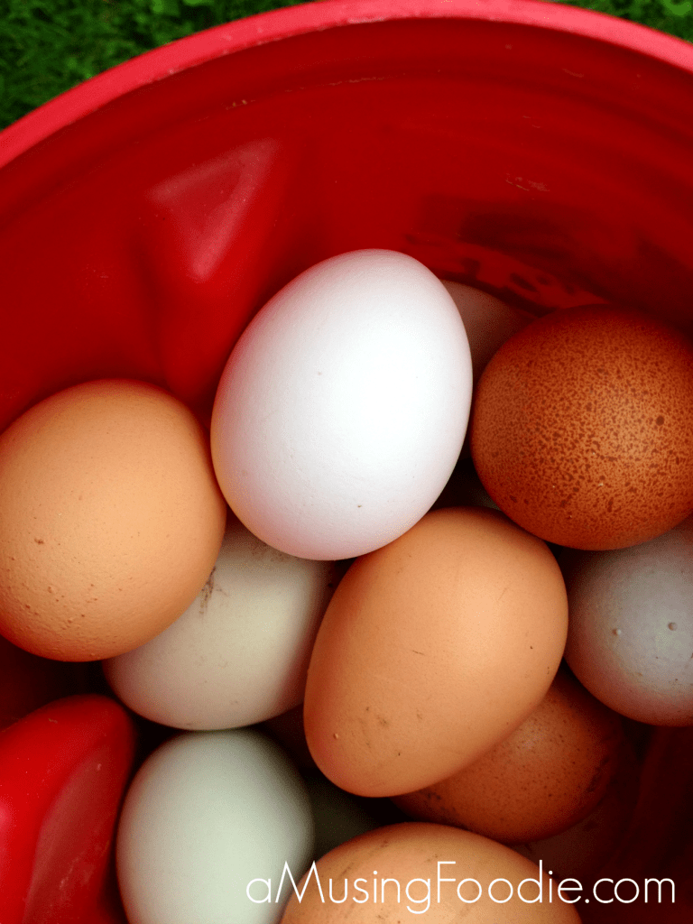 farm eggs, eggs, chickens, farm to table