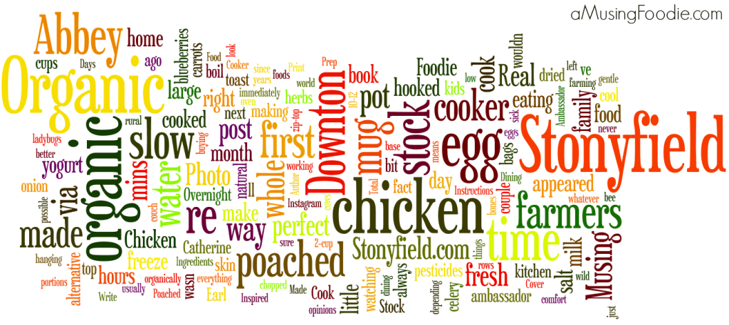 (a)Musing Foodie 2013 Wordle