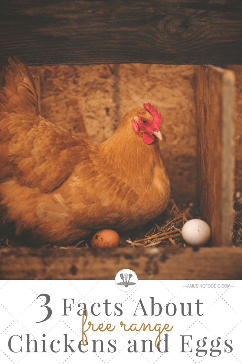 The term "free-range" can mean a variety of things, especially when you're talking about chickens. Read on to understand some facts about free-range chickens, as well as some of other other labels you find on egg cartons these days.