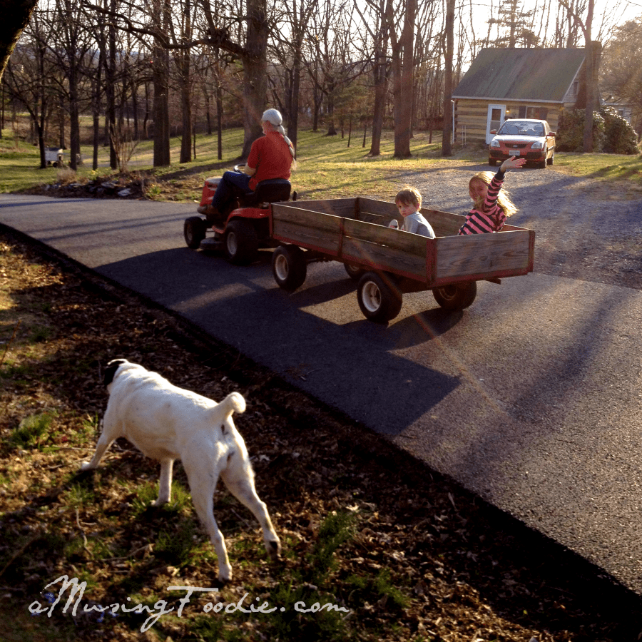 Wagon Ride at the Farm