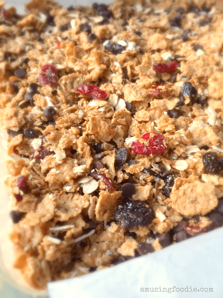 Cranberry Chocolate Cereal Squares