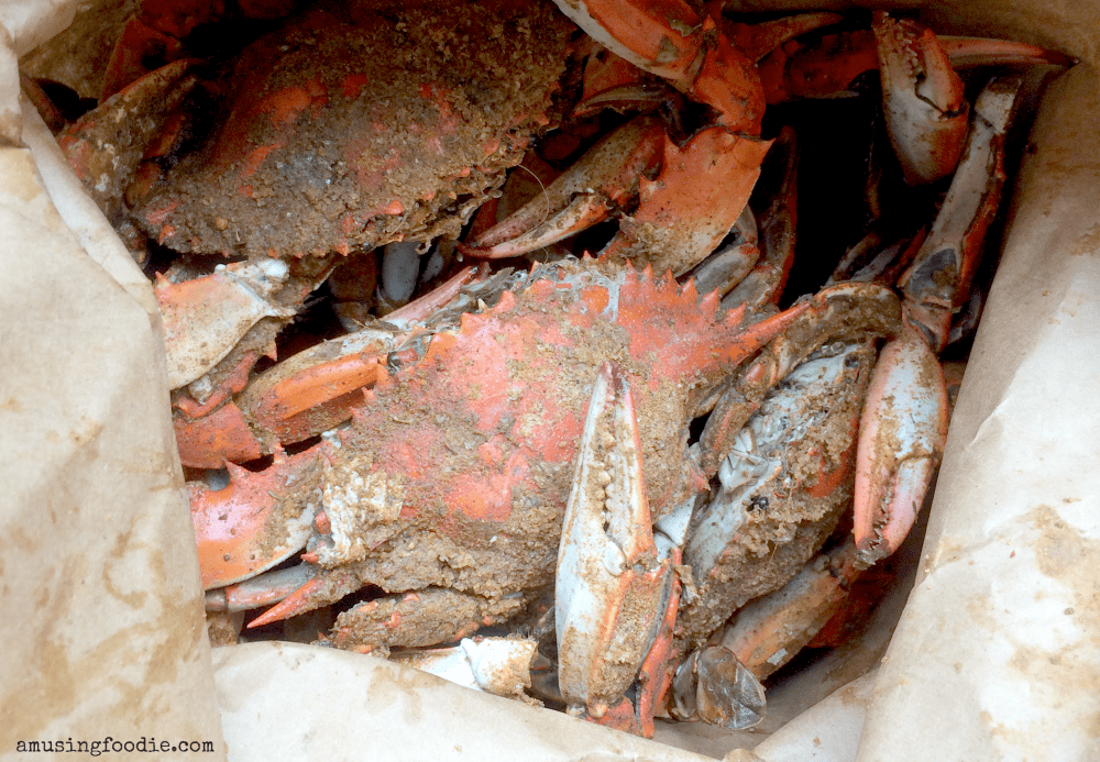 Close up of steamed blue crabs with Old Bay seasoning in a paper bag.