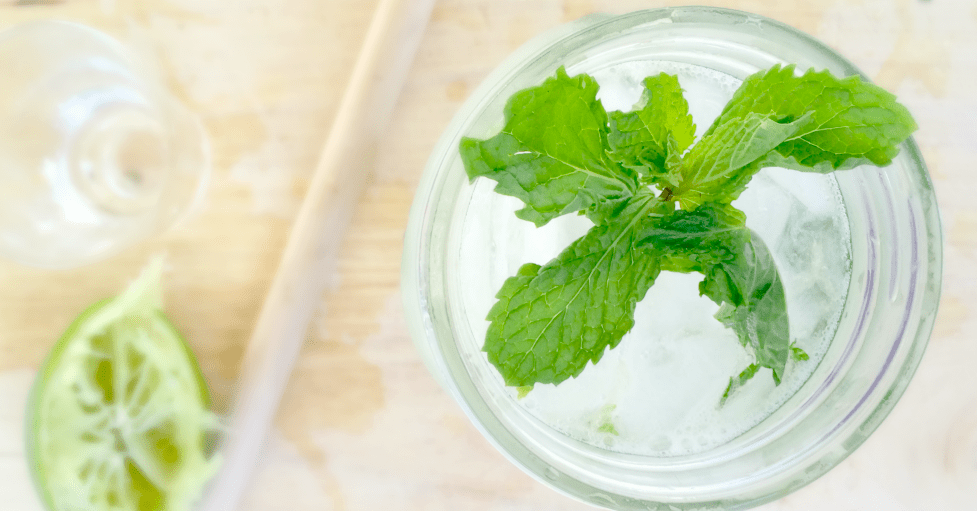 Refreshing mint lime cocktail with ice, perfect for summer gatherings and enjoyable sips.