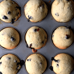 Muffins Recipes