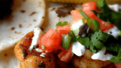 Simple Grilled Chili Shrimp Soft Tacos